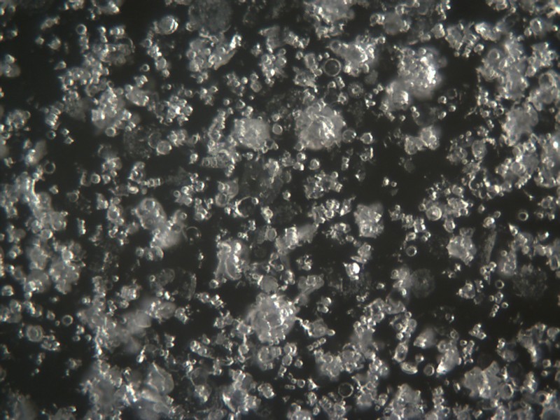 Microscope Picture of Dolomite Abrasive Magnification
