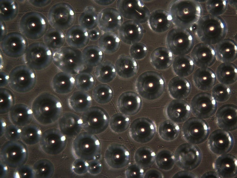 Microscope Picture of Glass Beads Abrasive Powder Magnification